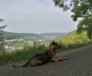 Unternehmerische Freiheit