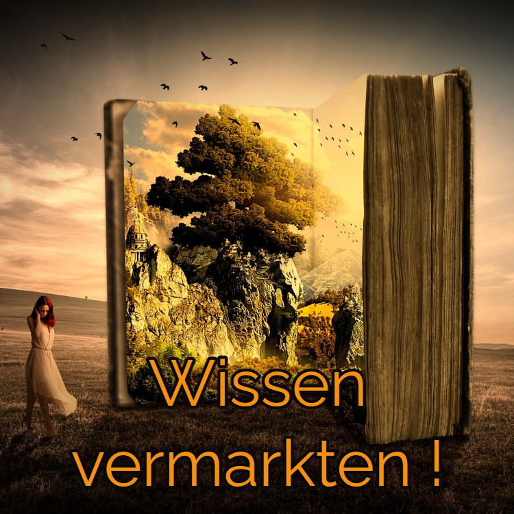 Wissen-vermarkten-onlinekurs-erstellen Wissen vermarkten Onlinekurs erstellen